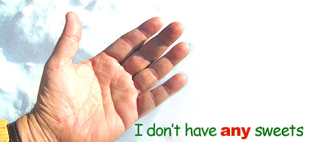 any ingl&eacute;s